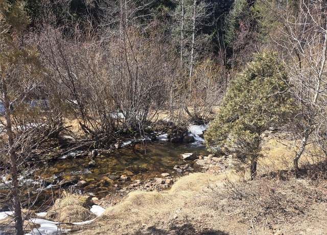 Property at Fall River Rd, Idaho Springs, CO 80452