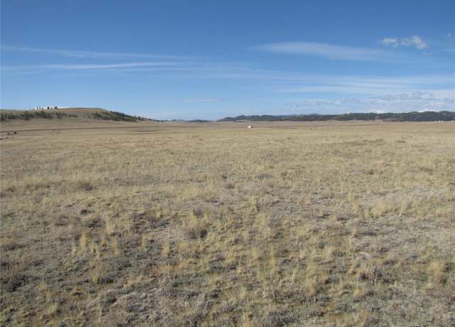 Property at 1062 Hinsdale Rd, Hartsel, CO 80449