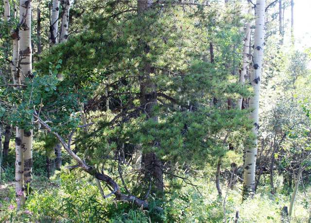 Property at Lot 028 Sunflower Ln, Black Hawk, CO 80422