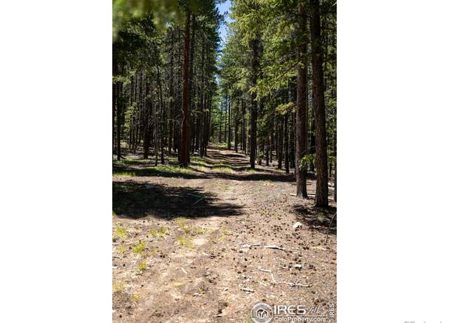 Property at 1001 Pactolus Lake Rd, Black Hawk, CO 80422, 1 bed, 1 bath