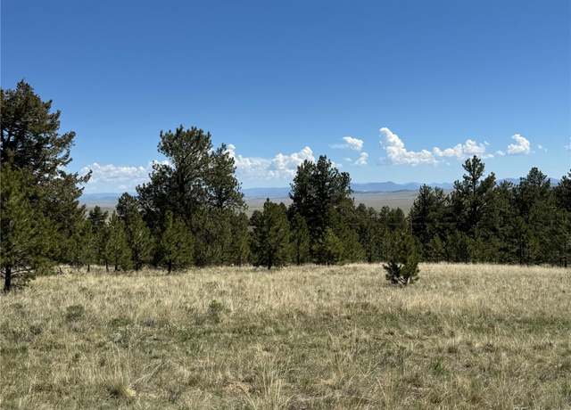 Property at 9430 Ranch Rd, Hartsel, CO 80449