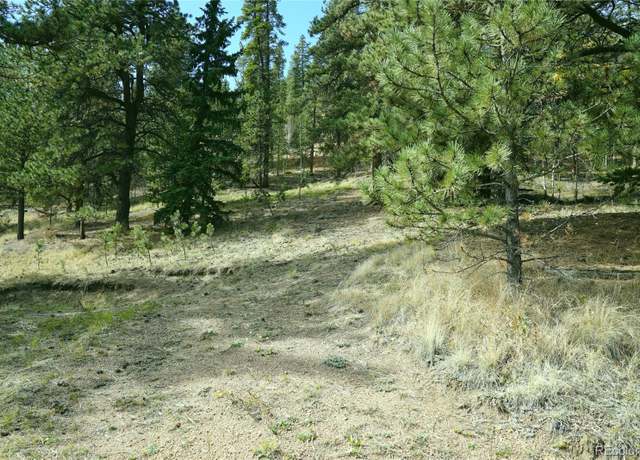 Property at 188 Brown St, Bailey, CO 80421