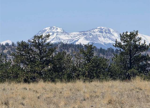 Property at 1000 Yellowstone Rd, Hartsel, CO 80449