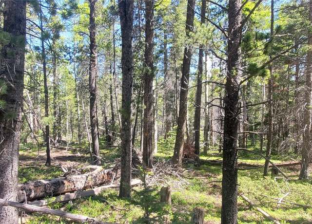 Property at Lot 2914 Forbes Loop, Fort Garland, CO 81133
