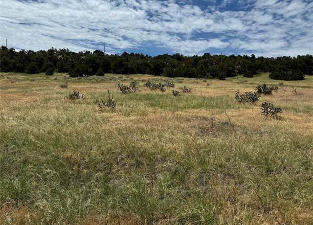 Property at Badger Rd, Walsenburg, CO 81089