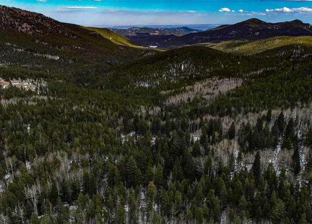 Property at 1111 Wood Rd, Idaho Springs, CO 80452