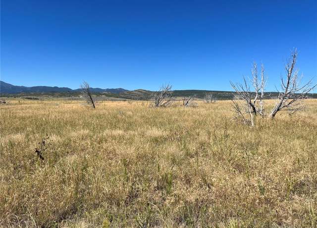 Property at 0 Good Pasture Dr, Beulah, CO 81023