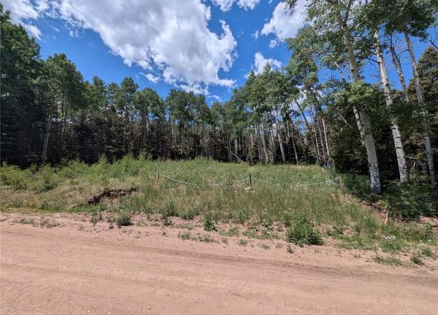 Property at 3070 Henderson Dr, Fort Garland, CO 81133