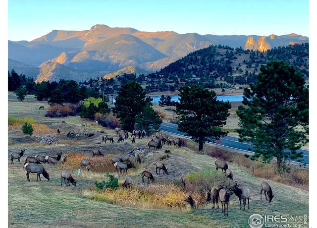 Property at 315 Kiowa Dr, Estes Park, CO 80517, 3 beds, 3 baths