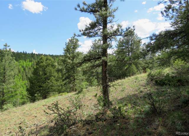 Property at 00 Come And See Mine, Central City, CO 80427