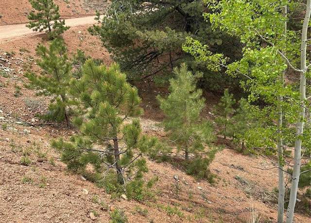 Property at 1600 Pikes Peak Dr, Divide, CO 80814
