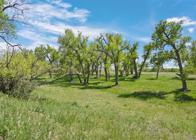 Property at Parcel A W County Road 105, Ramah, CO 80832