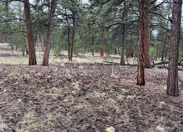 Property at 120 Harness Way, Hartsel, CO 80449