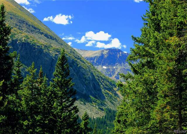 Property at 868 Nuthatch Dr, Alma, CO 80420