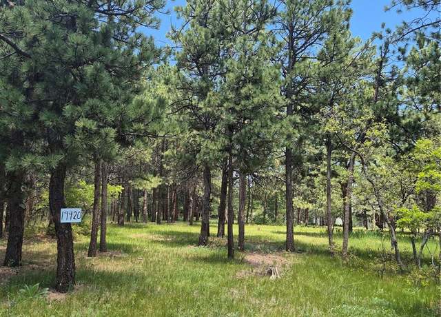 Property at 19420 Glen Cannon Way, Monument, CO 80132