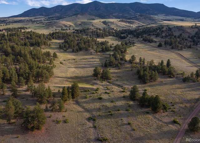 Property at 0 Big Buck Rd, Guffey, CO 80820, 3 beds, 4 baths