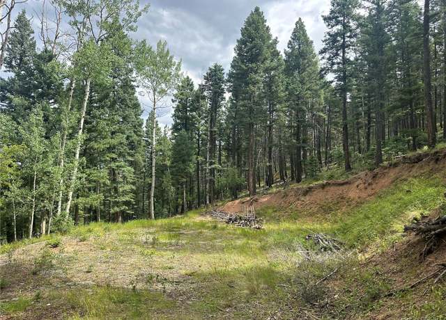 Property at 272 Fern Vly, Manitou Springs, CO 80829