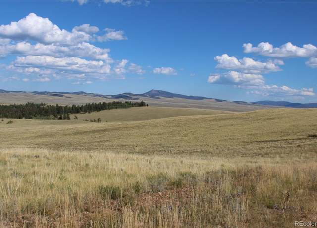 Property at 635 Hereford Dr, Hartsel, CO 80449