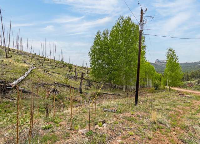 Property at L1 B4 Columbine Cir, Woodland Park, CO 80863