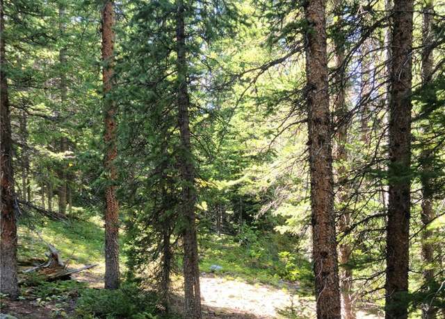 Property at 473 Bum Dr, Fairplay, CO 80440