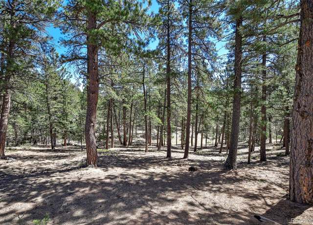 Property at 860 Spring Valley Dr, Divide, CO 80814