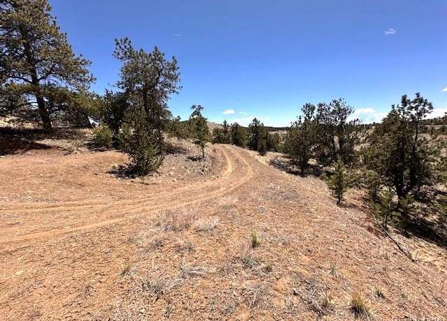 Property at 2972 Fitzsimmons, Hartsel, CO 80449