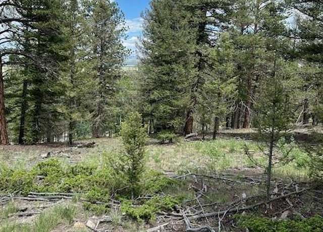 Property at 1519 Bolster Dr, Hartsel, CO 80449