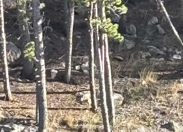 Property at 1 Miners Rd, Black Hawk, CO 80422