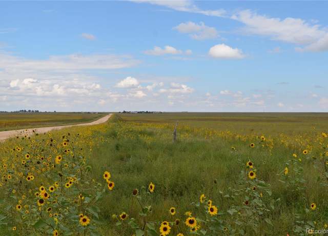 Property at Parcel 6 County Rd 2, Rush, CO 80833