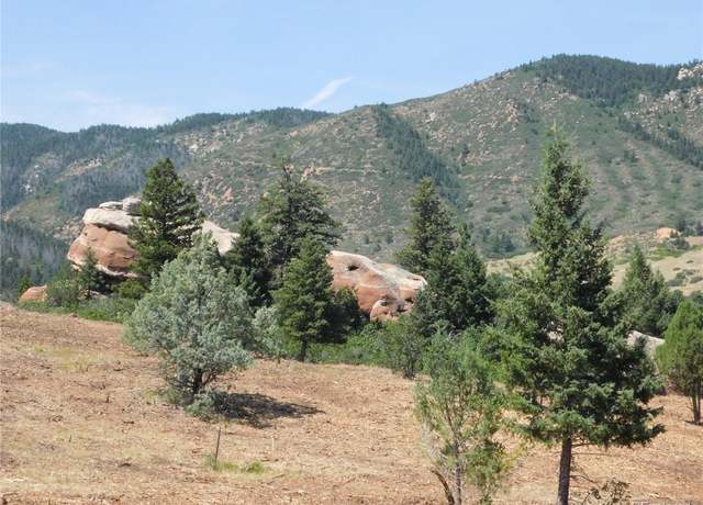 Property at 6382 Country Club Dr, Larkspur, CO 80118