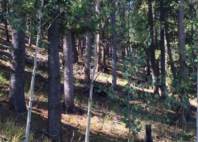 Property at 502 Smith Rd, Bailey, CO 80421