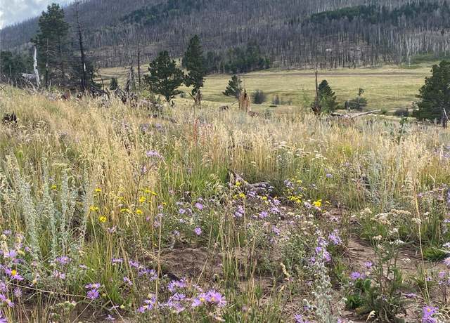 Property at 465 Mulligan Ln, Fort Garland, CO 81133