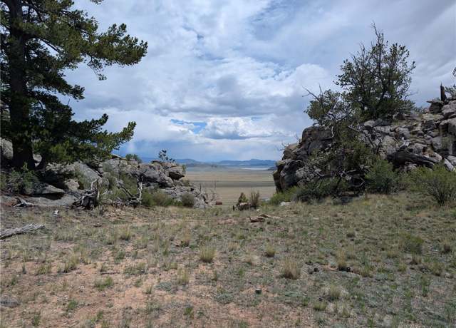 Property at 310 Grand Ln, Lake George, CO 80827