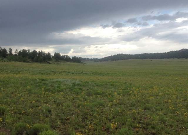 Property at Dog Chief Trl, Hartsel, CO 80449