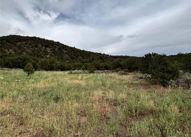 Property at 00 Laidlaw Rd, Fort Garland, CO 81133