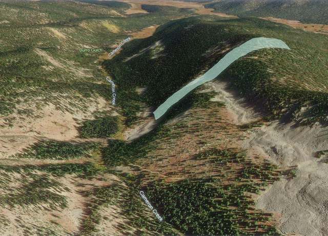 Property at 123 Boss Lode Claim, Gunnison, CO 81231