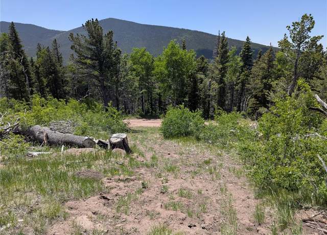 Property at 3268 Grojean Dr, Fort Garland, CO 81133