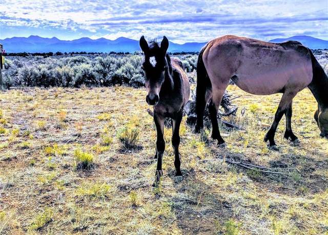 Property at 000 Garland Trl, San Luis, CO 81152