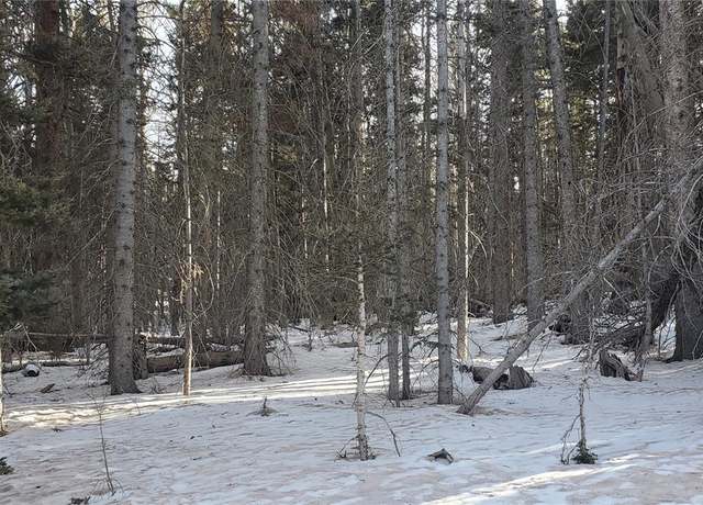 Property at 3391 Corner of Forbes Loop & Purnell Ln, Fort Garland, CO 81133