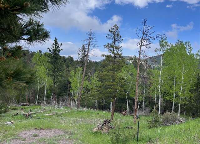 Property at 31755 Lillis Pl, Golden, CO 80403