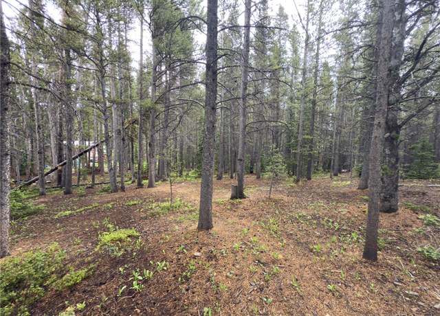 Property at Lot 285 Lower Forest Rd, Idaho Springs, CO 80452
