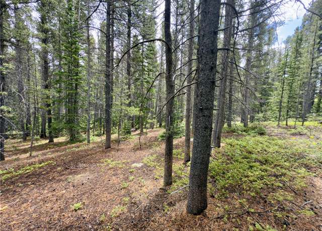 Property at Lot 285 Lower Forest Rd, Idaho Springs, CO 80452