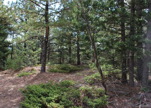 Property at 000 Golconda Mine Rd, Central City, CO 80427
