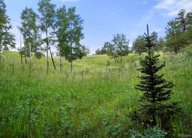 Property at 0 Schubarth Trl, Woodland Park, CO 80863