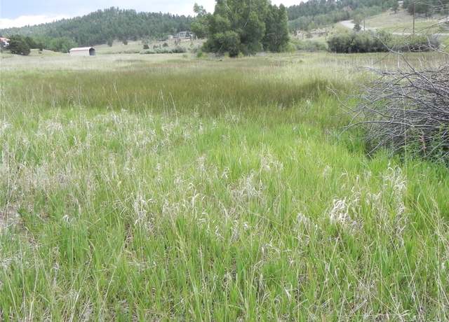 Property at 6 Kiva Path, Lake George, CO 80827