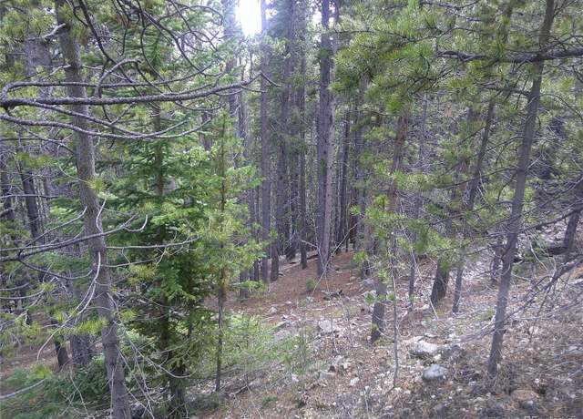 Property at Lot #440 Hillside Rd, Idaho Springs, CO 80452