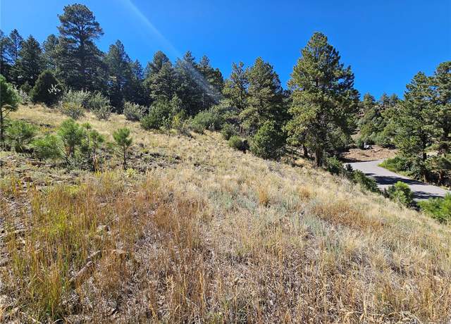 Photo of 65 Timberline Trl, South Fork, CO 81154