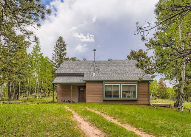 Property at 52 Branding Iron Ln, Bailey, CO 80421, 3 beds, 2 baths