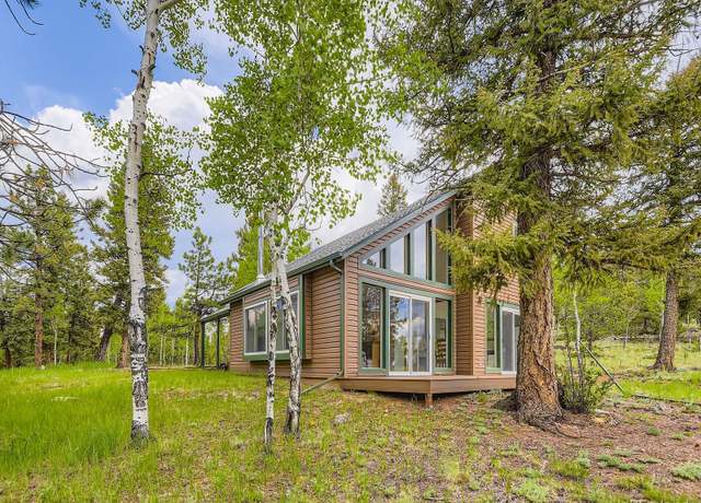 Property at 52 Branding Iron Ln, Bailey, CO 80421, 3 beds, 2 baths