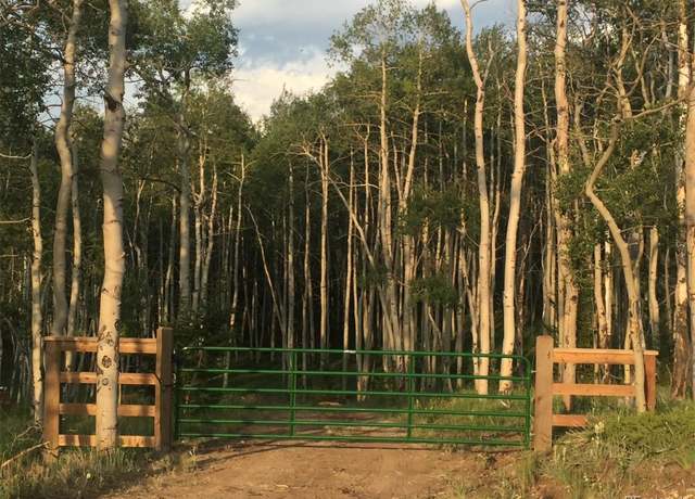 Property at 8093 Ranch Rd, Hartsel, CO 80449